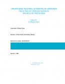 Caso #1 El Efecto Flynn