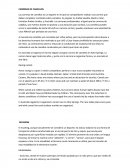 CARRERA DE CAMELLOS.