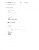 PRIMERA ETAPA: DEFINICIÓN DEL MARCO GENERAL.