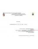 Formato de planeacion multigrado