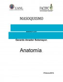 MASOQUISMO Ensayo