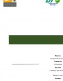 Usabilidad Web y su Importancia