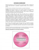 PRINCIPALES COMPONENTES DE UN ESTUDIO DE MERCADO