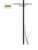 De las Obligaciones y Derechos de los Socios, Del Mandato, Del Préstamo, Del Depósito, De los Contratos Aleatorios, De las Transacciones.