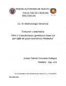 PPA 2: Caracterizacion genética en base a el gen cytb del grupo taxonómico Haliaeetus