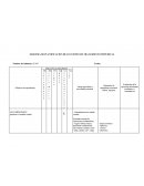 ESQUEMA DE PLANIFICACION DE LECCIONES DE TRATAMIENTO INDIVIDUAL