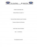 Proceso de Atención de Enfermería- Valoración por patrones