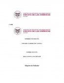 Análisis película Taare Zameen Par, película sobre dislexia