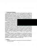 Fundamentación Pedagógica