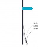 Aplicación six sigma