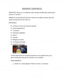 REPORTE CIENTIFICO - PROPOCITO: Poner en un recipiente varias mezclas de diferentes colores para formar un “Arcoíris”.