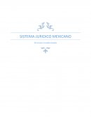 AMPARO- SISTEMA JURIDICO MEXICANO Divisiones Jurisdiccionales