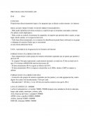 PROTOCOLO DE INTERNET (IP)