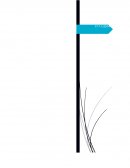 AUDITORIA EN LA CALIDAD DEL SOFTWARE.