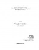 PERFIL DEL DOCENTE DE EDUCACIÓN INICIAL COMO MEDIADOR.