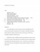 Ergonomía en la Universidad.