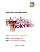 Ensayo de Comunicación y Lenguaje.