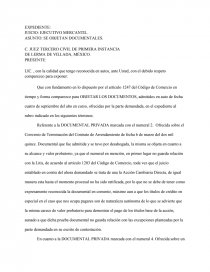 OBJECIÓN DE DOCUMENTOS.. Página 1