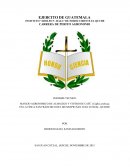 TEMA: EJERCITO DE GUATEMALA.