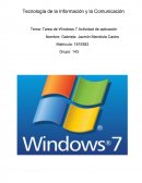Tarea de Windows 7 Actividad de aplicación