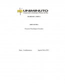 Ejemplo diario de campo