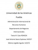 Administración Internacional de Recursos Humanos.