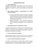 CUESTIONARIO DE FLUJO.