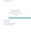 ENSAYO: TEORÍA GENERAL DE SISTEMAS.