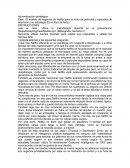 Netflix y su aporte a la tecnología