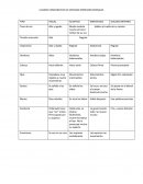 Sistemas representacionales.