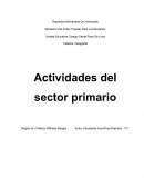 Actividades del sector primario
