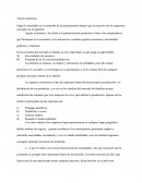 Teoría de la economía.