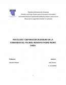 RACICLADO Y SEPARACION DE BASURA EN LA COMUNIDAD DEL PALMAR, MUNICIPIO PADRE PEDRO CHIEN..