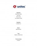 En el siguiente trabajo se tratara de explicar de forma clara los temas macroeconómicos que son la política fiscal y la inflación y como estos temas están reflejados en la economía de Honduras.