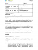 Principios de la cadena de suministros Actividad: Pronosticos de la demanda