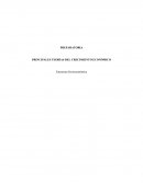 PRINCIPALES TEORÍAS DEL CRECIMIENTO ECONÓMICO Estructura Socioeconómica