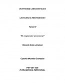 Tarea IV "El resplandor emocional"