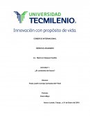 COMERCIO INTERNACIONAL - DERECHO ADUANERO