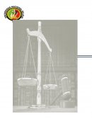 Accion extraordinaria de proteccion