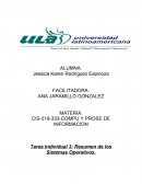 Tarea Individual 3: Resumen de los Sistemas Operativos