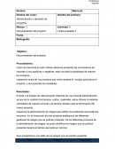 Administración y valuación de proyectos Evidencia 3