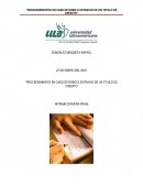 Procediemiento en caso de robo o extravio de un titulo de credito