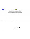 Planificación de voleibol