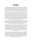 Ensayo: Lo que aprendi