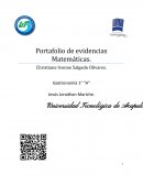 Portafolio de evidencias Matemáticas.