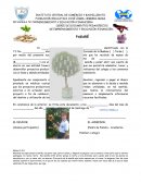PROGRAMA DE EMPRENDIMIENTO Y EDUCACIÓN FINANCIERA
