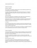 Análisis de lógica Zhara vs Only. Lógicas de la estrategia.