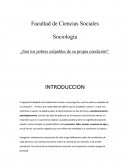 Sociología ¿Son los pobres culpables de su propia condición?