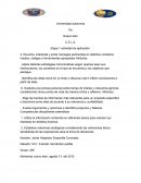 Formas discursivas. Etapa 1 actividad de aplicación