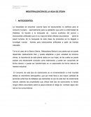 INDUSTRIALIZACIÓN DE LA HOJA DE STEVIA.